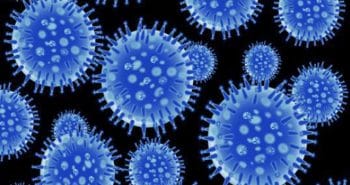 Image du Virus de la grippe
