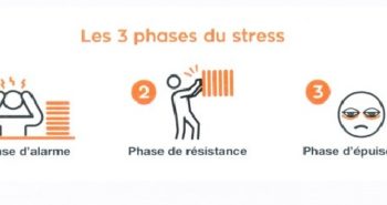 Les trois phases du stress : alarme, résistance et épuisement