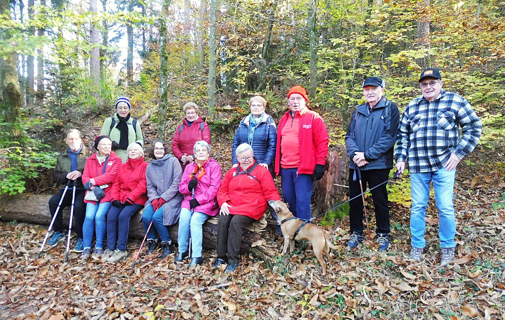 photo de groupe de la sortie du 9 novembre